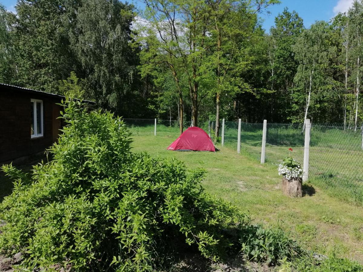 Agroturystyka Pod Dobrymi Skrzydlami Wiski Bagian luar foto
